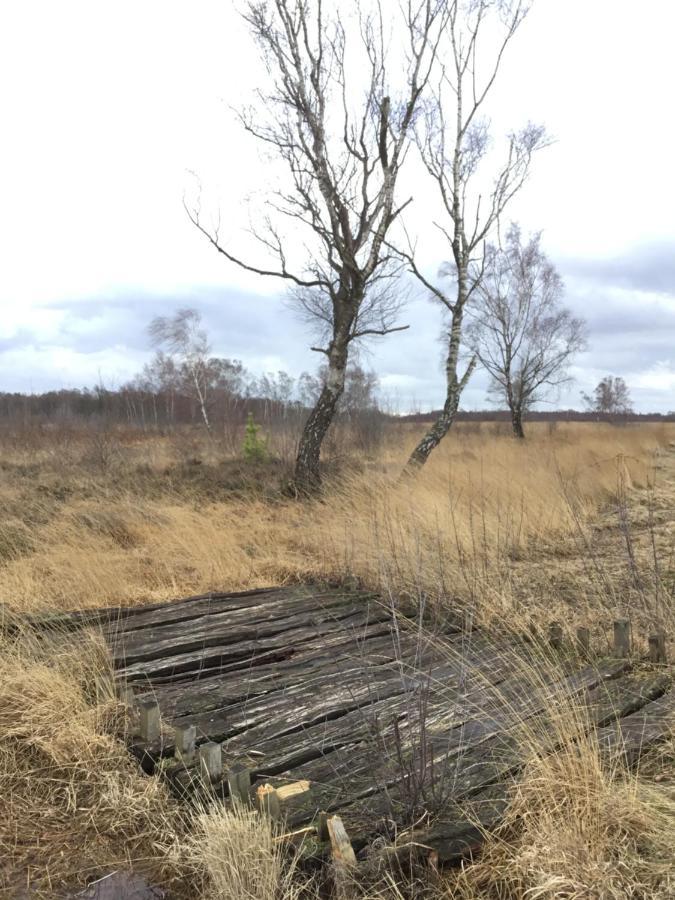 Kranich-Holzferienhaus 'Kleine Auszeit' Rehden Luaran gambar