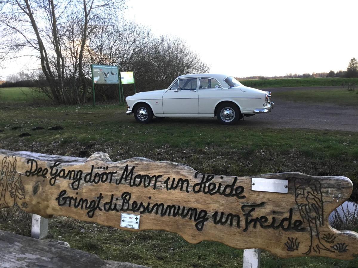 Kranich-Holzferienhaus 'Kleine Auszeit' Rehden Luaran gambar